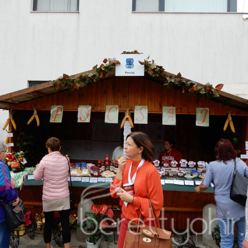 Helyi Értékek Startja 60
